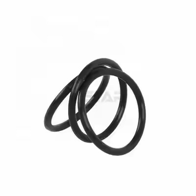1095885 Polierte Tribo Encore Gen II Pulverbeschichtung Pumpe O Ringe Custom OEM-Support