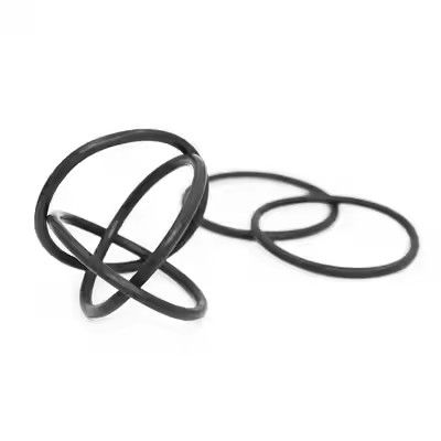 1095885 Polierte Tribo Gen II Pulverbeschichtung Pumpen O-Ringe Kundenspezifische OEM-Unterstützung