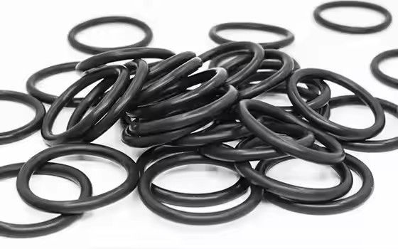 1095885 Polierte Tribo Gen II Pulverbeschichtung Pumpen O-Ringe Kundenspezifische OEM-Unterstützung